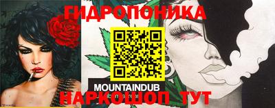 дмт Будённовск
